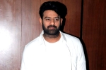 Prabhas and Maruthi film, Niddhi Agerwal, two beauties locked to romance prabhas, Krishnam raju