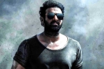 Prabhas Salaar new updates, Prabhas updates, prabhas salaar to have malayalam star, Shruthi