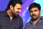 Prabhas and Maruthi film news, Prabhas and Maruthi film title, new title for prabhas and maruthi film, Nidhhi agerwal
