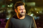 Salaar film updates, Salaar shoot, prabhas back to the sets of salaar, Krishnam raju