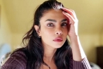 Don't Look For Virgin Wife comment, Priyanka Chopra, priyanka chopra breaks silence on don t look for virgin wife comment, Priyanka chopra