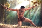 SS Rajamouli, RRR release date, rrr 22 days collections, Rrr movie