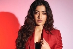 Rashmika and Manager breaking news, Rashmika and Manager controversy, rashmika mandanna clears air, Animal film