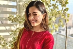 Rashmika Mandanna, Rashmika Mandanna upcoming movie, rashmika mandanna bags one more biggie, Gautam tinnanuri