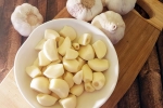 Raw Garlic and Blood Pressure news, Raw Garlic and Blood Pressure latest news, does eating raw garlic help with high blood pressure, News Raw Garlic and Blood Pressure news, Raw Garlic and Blood Pressure latest news, does eating raw garlic help with high blood pressure, News