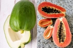 Raw Papaya Vs Ripe Papaya health experts, Raw Papaya Vs Ripe Papaya news, raw papaya vs ripe papaya which is better for blood sugar, Nutrition