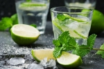 Virgin mojito, Virgin mojito, recipe of virgin mojito, Saucepan Virgin mojito, Virgin mojito, recipe of virgin mojito, Saucepan
