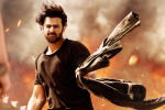 Saaho updates, Saaho, saaho ten days telugu states collections, Mandira bedi