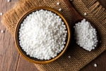 Sabudana latest breaking, Sabudana disadvantages, is sabudana good for health, Kheer