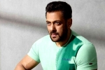 Chiranjeevi updates, Chiranjeevi news, salman khan coming for chiranjeevi and charan, Lucifer remake