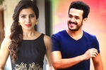 Samantha movies, Samantha, samantha and akhil to clash in august, Bollywood films