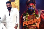 Pushpa: The Rule release news, Pushpa: The Rule latest updates, sanjay dutt s surprise in pushpa the rule, Indian film industry