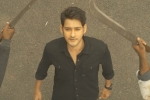Sarileru Neekevvaru talks, Mahesh Babu, mahesh babu s sarileru neekevvaru trailer review, Sarileru neekevvaru trailer