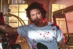 Shah Rukh Khan, Shah Rukh Khan updates, shah rukh khan to play a don in king, Gauri khan