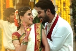Silly Fellows movie story, Silly Fellows telugu movie review, silly fellows movie review rating story cast and crew, Jayaprakash reddy