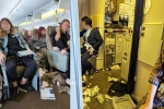Singapore Airlines breaking, Singapore Airlines turbulence horror, one dead and 30 injured in singapore airlines turbulence horror, Singapore airlines turbulence Singapore Airlines breaking, Singapore Airlines turbulence horror, one dead and 30 injured in singapore airlines turbulence horror, Singapore airlines turbulence