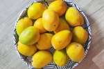 Soak Mangoes, Soak Mangoes health experts, soak mangoes for 30 minutes before eating, Nutrition