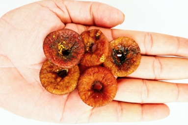 Can you take Soaked Anjeer every day? Can you take Soaked Anjeer every day?