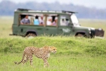 South African Safari Trip latest, South African Safari Trip breaking, how to plan your south african safari trip, Screen