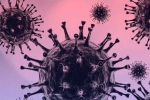 Omicron news, Omicron symptoms, south african scientists about omicron variant, Communicable diseases