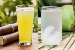 Sugarcane Juice Vs Coconut Water comparision, Sugarcane Juice Vs Coconut Water good, sugarcane juice vs coconut water which is hydrating, Nutrition