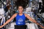 Sunita Williams news, Sunita Williams new mission, indian origin astronaut sunita williams battling radiation and bone weakness, Space mission