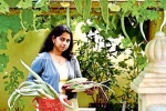 kerala, NRI in Qatar, this nri in qatar keen on farming is going green, B m kutty kerala, NRI in Qatar, this nri in qatar keen on farming is going green, B m kutty