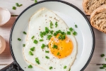 healthy, health benefits, top 5 benefits of eggs that ll make you to eat them every day, Calories