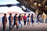 Donald Trump, Donald Trump rule, usa arrests over 500 illegal immigrants, Preview