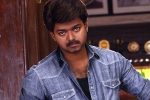 Vijay Jawan release news, Vijay Jawan cameo, vijay in a cameo, Gauri khan