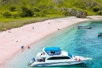Pink Beach in Indonesia best, Pink Beach in Indonesia list, which pink beach should you visit in indonesia, Coral