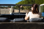 Wildest Safari Destinations latest, Wildest Safari Destinations articles, world s wildest safari destinations, Elephants