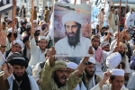 Al-Qaeda, Bin Laden breaking news, bin laden continues to mobilize jihadists ten years after his death, Bin laden