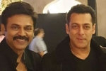 salman khan at Venkatesh daughter marriage, Aashritha daggubati, watch salman khan shake legs with venkatesh at his daughter aashritha daggubati s wedding, Bollywood star salman khan