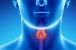 Throat Cancer types, Throat Cancer Risk Factors, how to prevent throat cancer, Hpv
