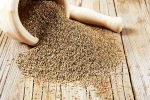 Ajwain health advantages, Ajwain India, benefits of adding carom seeds to your diet, Cough