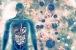 doctors, lungs, covid 19 can affect almost all organs experts at aiims, Cardiology