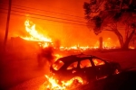 California, California Wildfire, california declares wildfire emergency, Actress