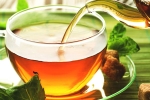 herbs, herbs, is consuming tea linked to immunity, Viral infections
