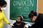 Covaxin side impacts, Covaxin side impacts, covaxin infected 50 percent of the teens, Covaxin