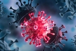 USA Coronavirus Delta variant, USA Coronavirus updates, delta variant makes usa tensed again, Covid 19 patients