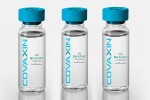 EUL for Covaxin delayed, WHO experts on EUL for Covaxin, who delays the eul decision on covaxin, Covaxin