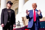 Donald Trump, Elon Musk and Donald Trump, elon musk asks donald trump to reverse china tariffs, Global market