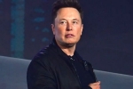 Elon Musk, Elon Musk, elon musk talks about cage fight again, Pizza