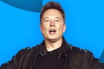 Elon Musk, Elon Musk latest breaking, elon musk s new ultimatum to twitter staffers, Tesla