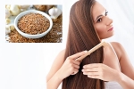 Flaxseeds latest, Flaxseeds latest, how flaxseeds can help for a long and healthy hair, Cake