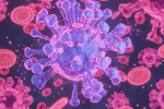 HMPV Virus case China, HMPV Virus case China, first hmpv virus case detected in india s bengaluru, Karna