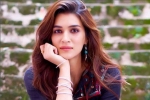 Kriti Sanon, Entertainment, kriti sanon tested positive for covid 19, Bmc