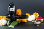 sawan shivratri 2019 date, Maha Shivratri 2019, maha shivratri 2019 visit these lord shiva temples to witness best of the maha shivratri, Haridwar