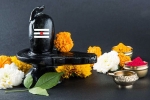 Maha Shivratri, maha shivaratri 2019 tamil calendar, maha shivratri 2019 visit these lord shiva temples to witness best of the maha shivratri, Haridwar